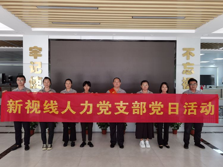新視線人力黨支部開展“聯建共建聚合力、齊心助力自貿港”主題黨