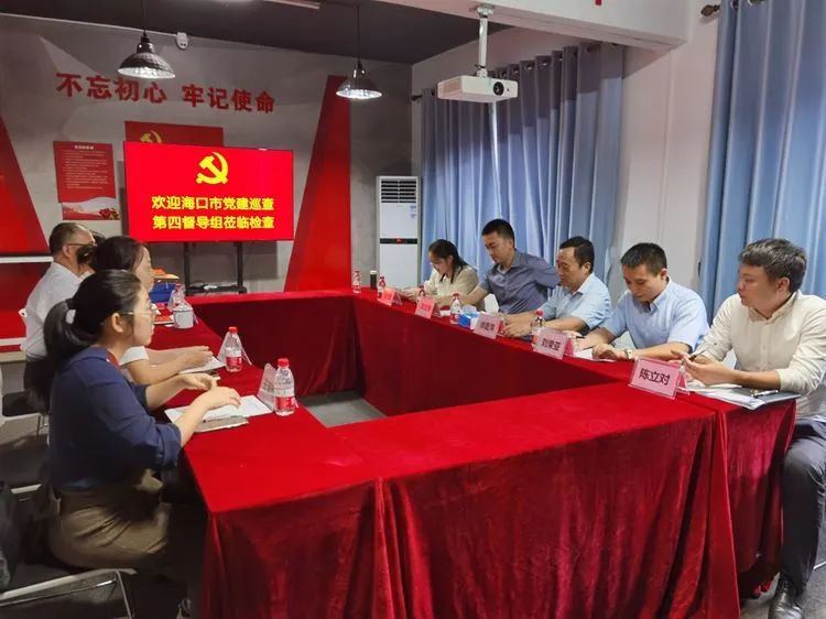 海口市黨建巡查第四督導組蒞臨新視線人力黨支部檢查指導